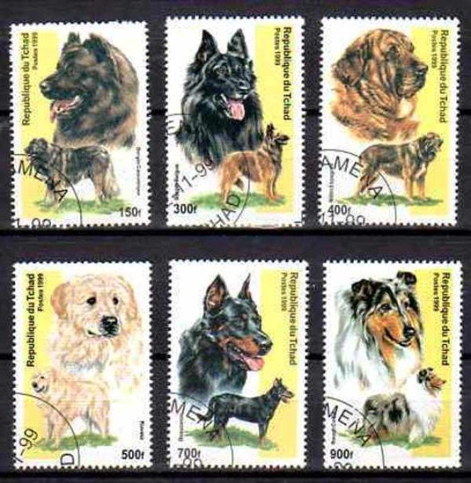 Tchad 1999 (chien23) série complète de 6 timbres oblitérés