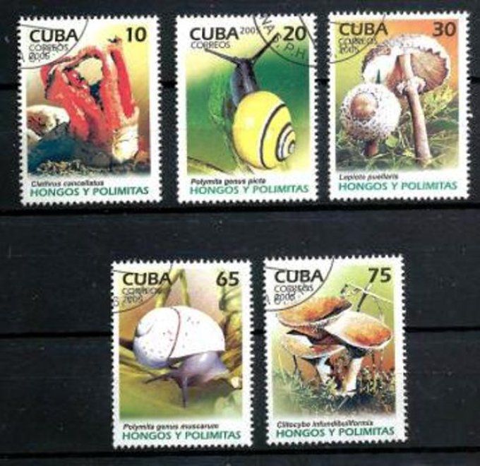 Cuba 2005 (CP13) série complète de 5 timbres oblitérés