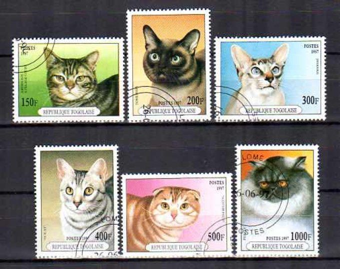 Togo 1997 (chat16) série complète de 6 timbres oblitérés 