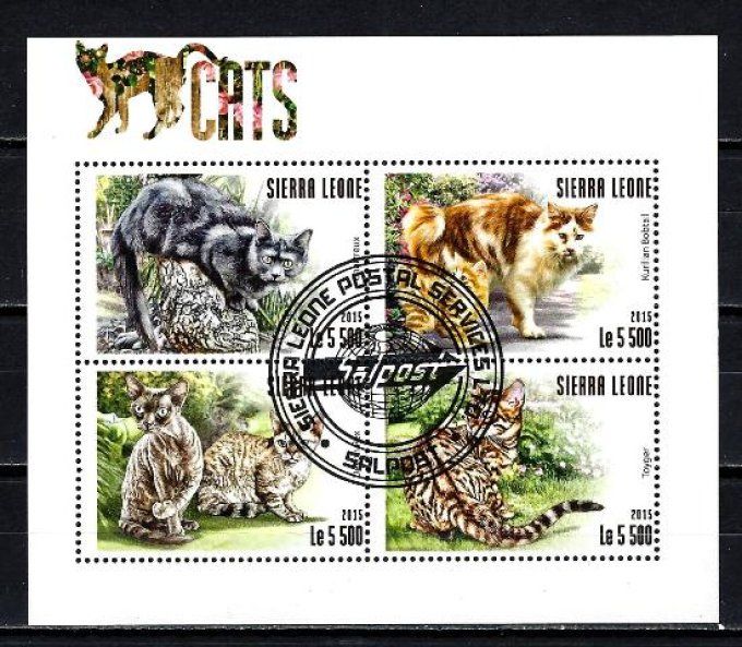 Sierra Leone 2015 (chat35) série complète de 4 timbres oblitérés